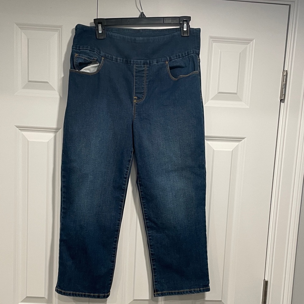 Gloria Vanderbilt All Around Slimming Amanda crop Jean